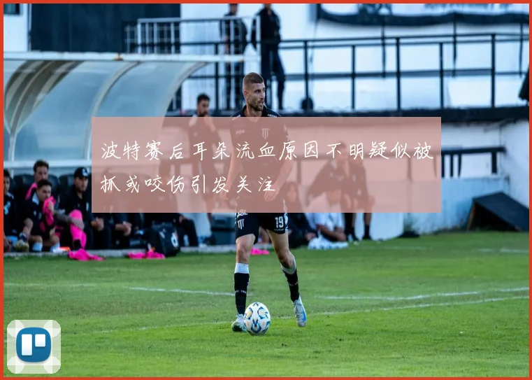 波特赛后耳朵流血原因不明疑似被抓或咬伤引发关注